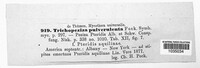 Image Associated With the Occurence